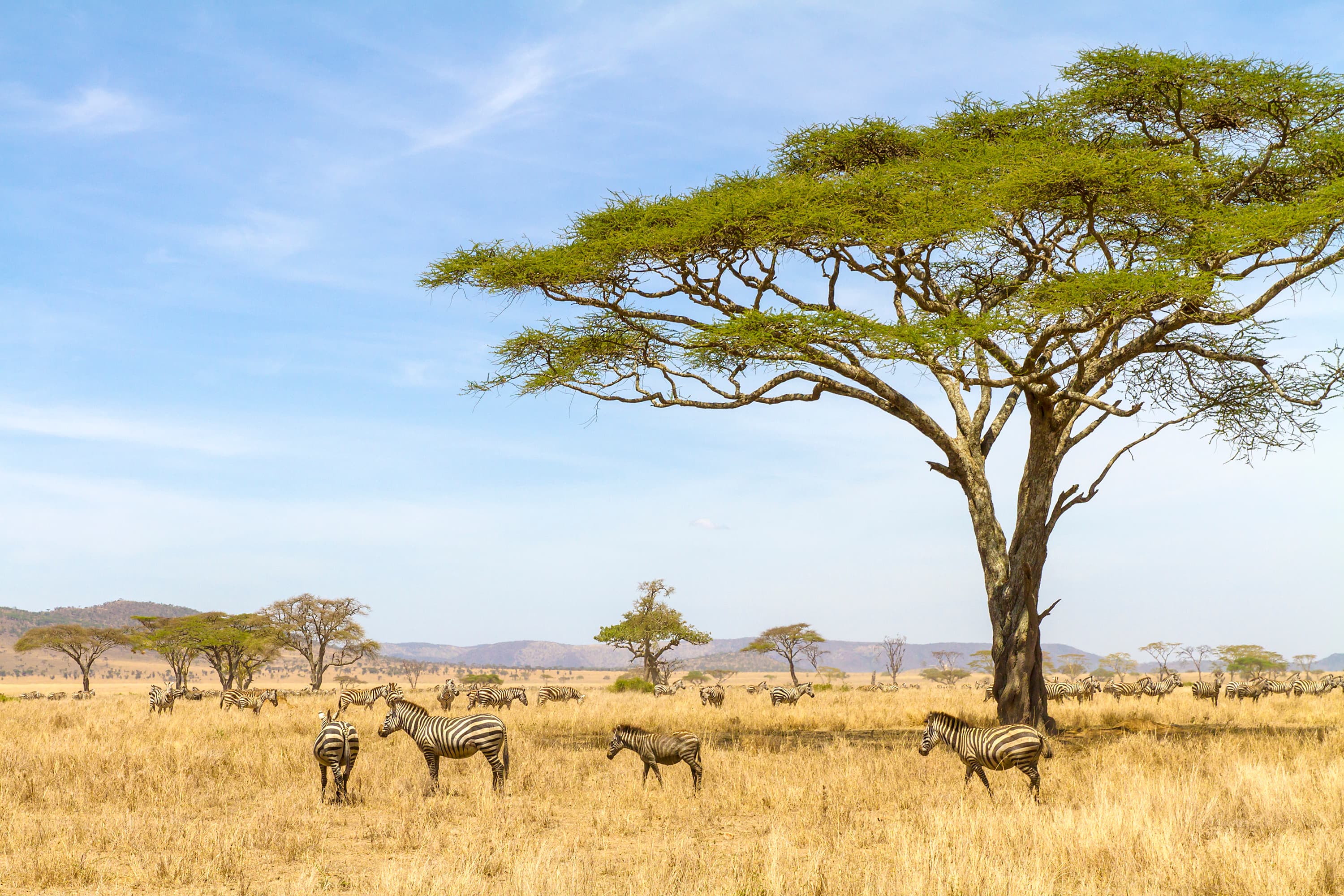 Seguro Viagem África